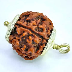 Five Mukhi Rudraksha Nepal