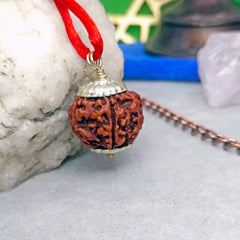 Five Mukhi Rudraksha Nepal