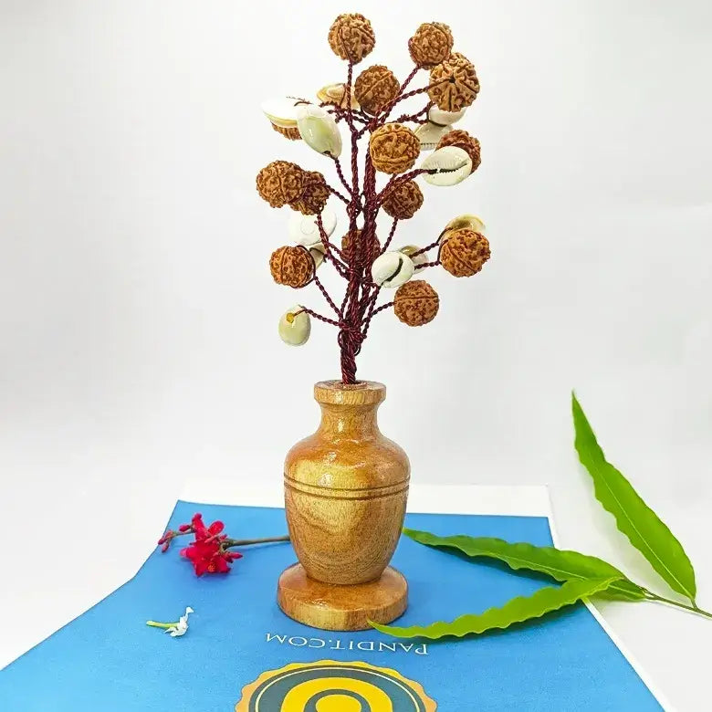 Five Mukhi Rudraksha Tree With Kaudi and Gomti Chakra