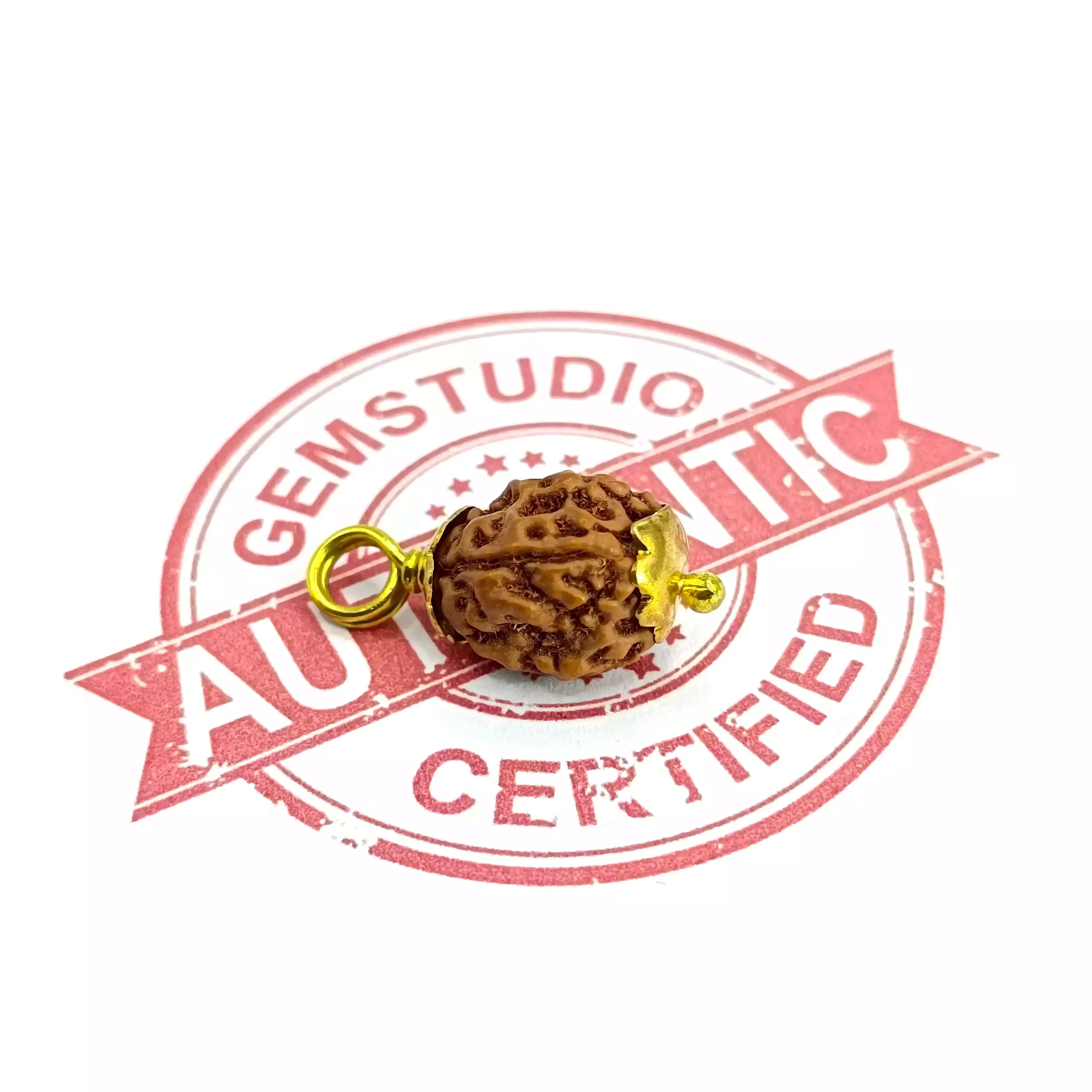 Four Mukhi Rudraksha Indonesia