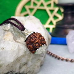 Four Mukhi Rudraksha Nepal