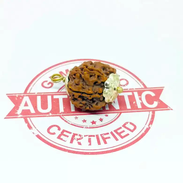 Ganesh Premium Rare Rudraksha