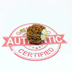 Ganesh Premium Rare Rudraksha
