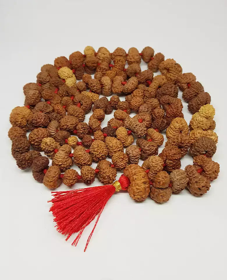 Gauri Shankar Rudraksha Mala - Indonesia