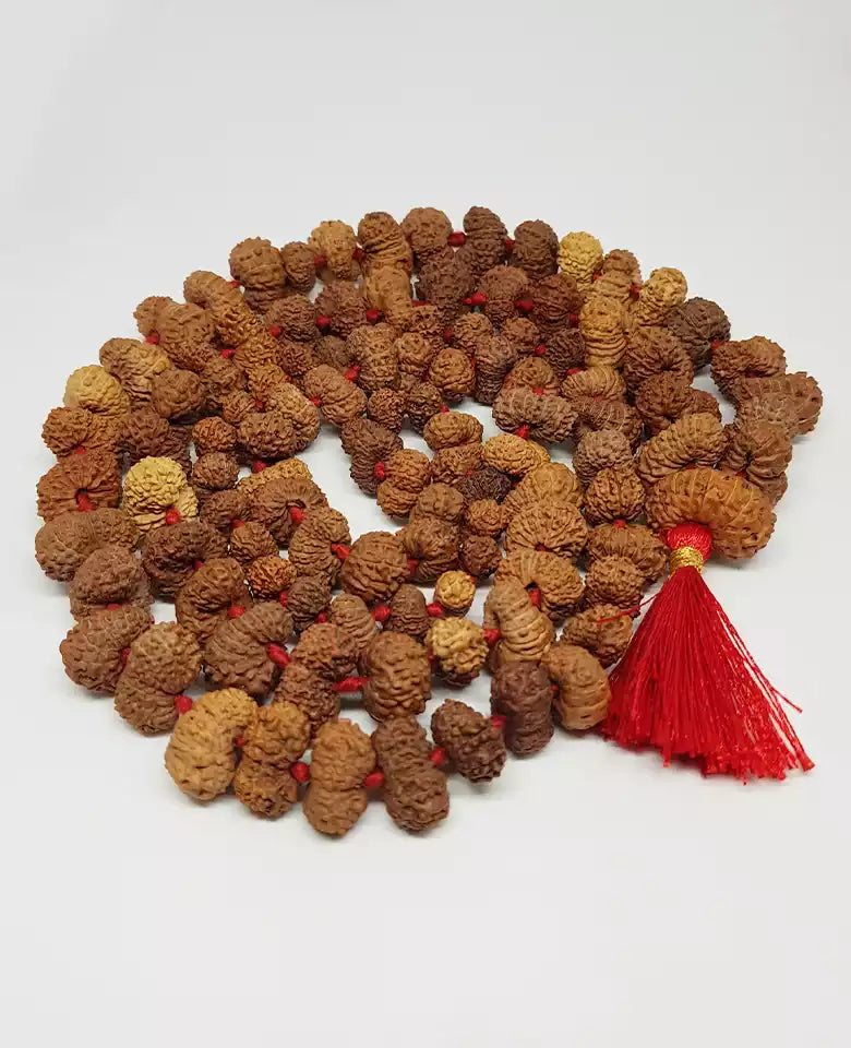 Gauri Shankar Rudraksha Mala - Indonesia