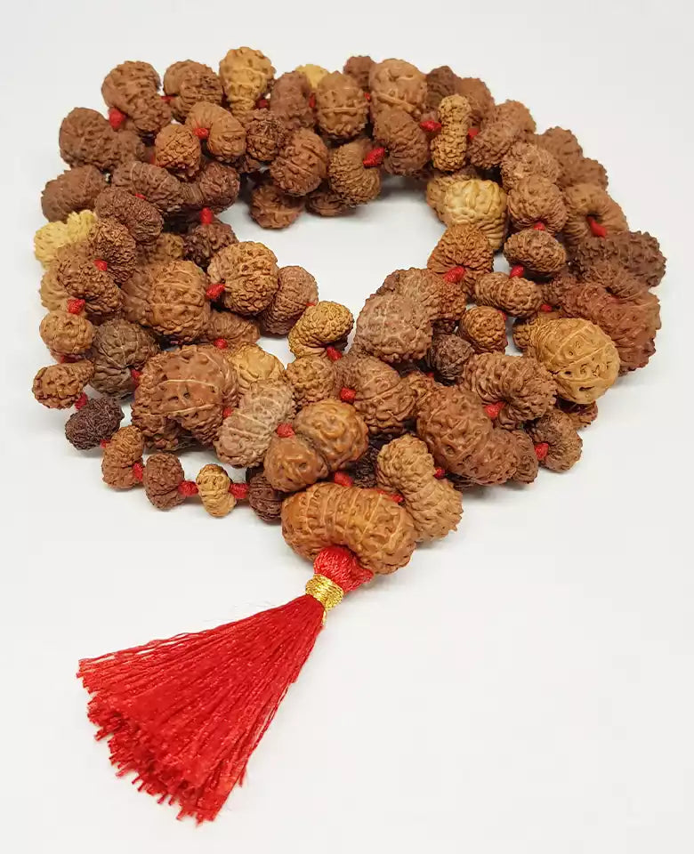 Gauri Shankar Rudraksha Mala - Indonesia