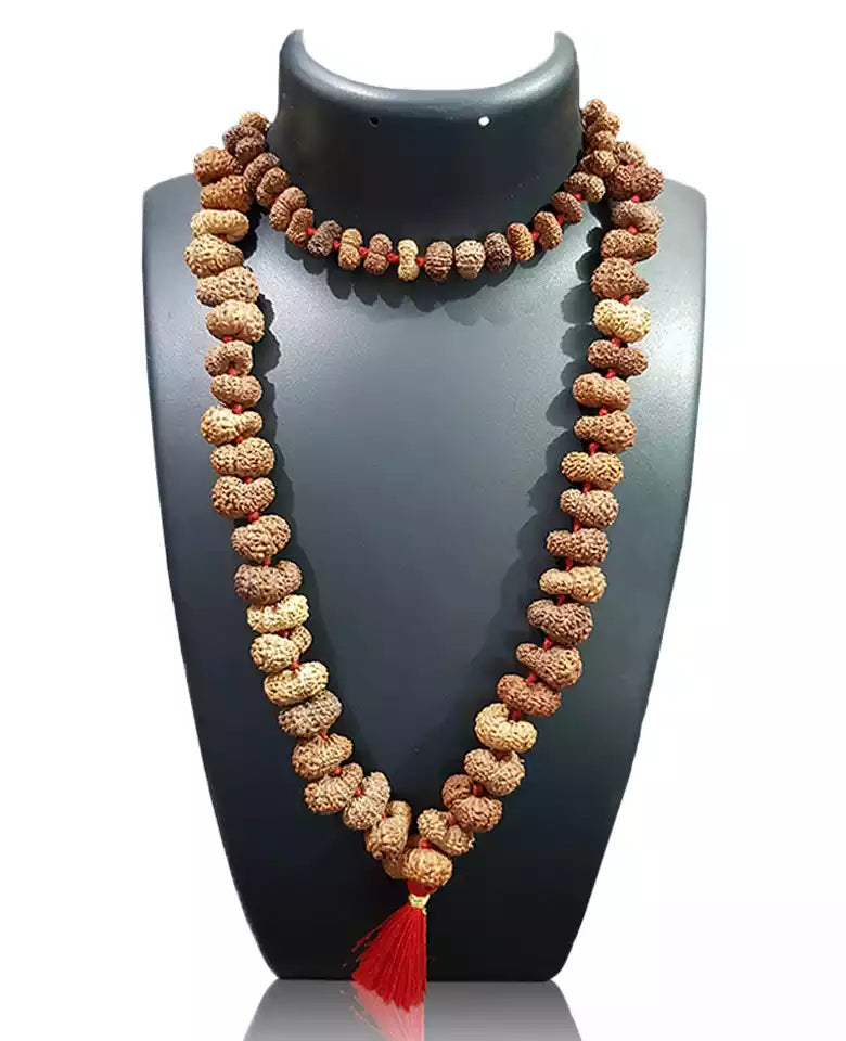 Gauri Shankar Rudraksha Mala - Indonesia