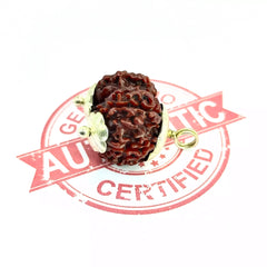 Gauri Shankar Rudraksha Nepal