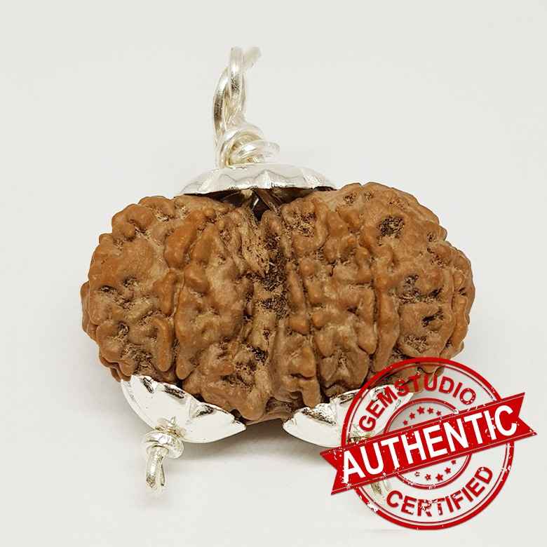 Gauri Shankar Rudraksha Premium 