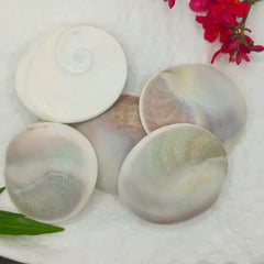 Gomti Chakra Big