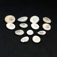 Gomti Chakra
