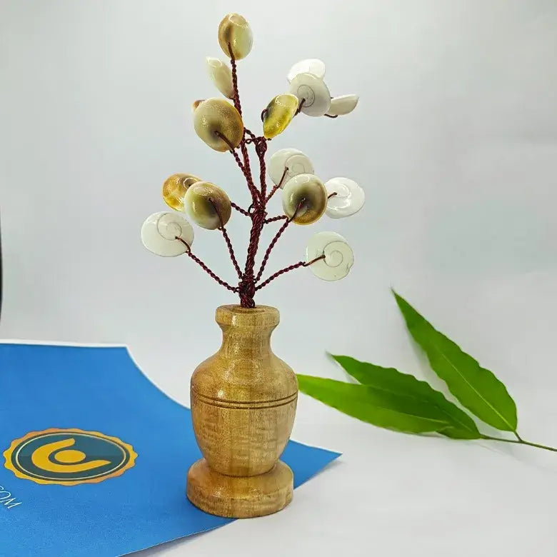 Gomti Chakra Tree Big