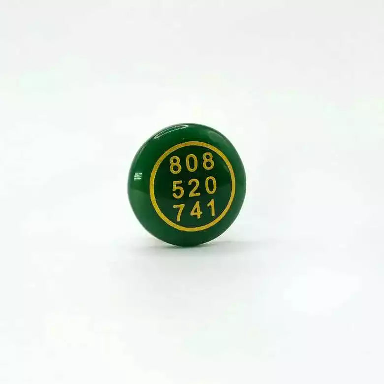 Green Aventurine Zibu Symbol Coin