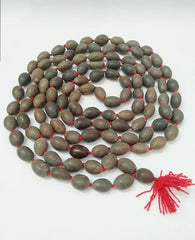 Kamal Gatta Mala