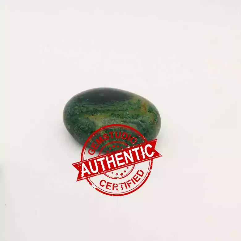 Kambaba Jasper Healing Crystal Palm Stone