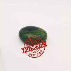 Kambaba Jasper Healing Crystal Palm Stone