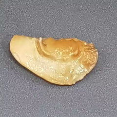 Natural Shukra Mani
