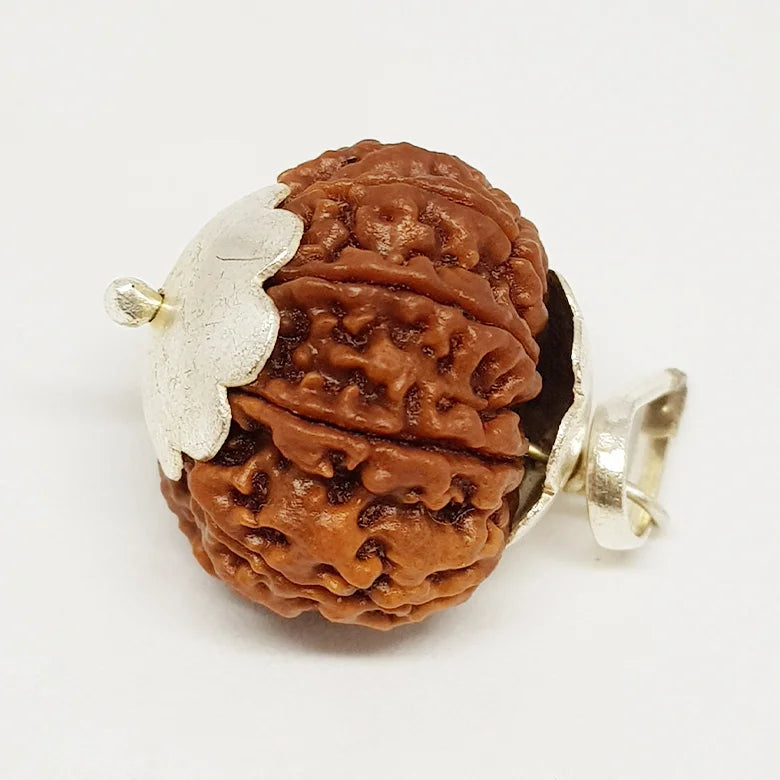 Nine Mukhi Nepali Rudraksha