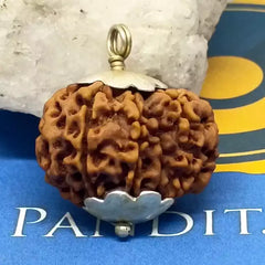 Nine Mukhi Nepali Rudraksha