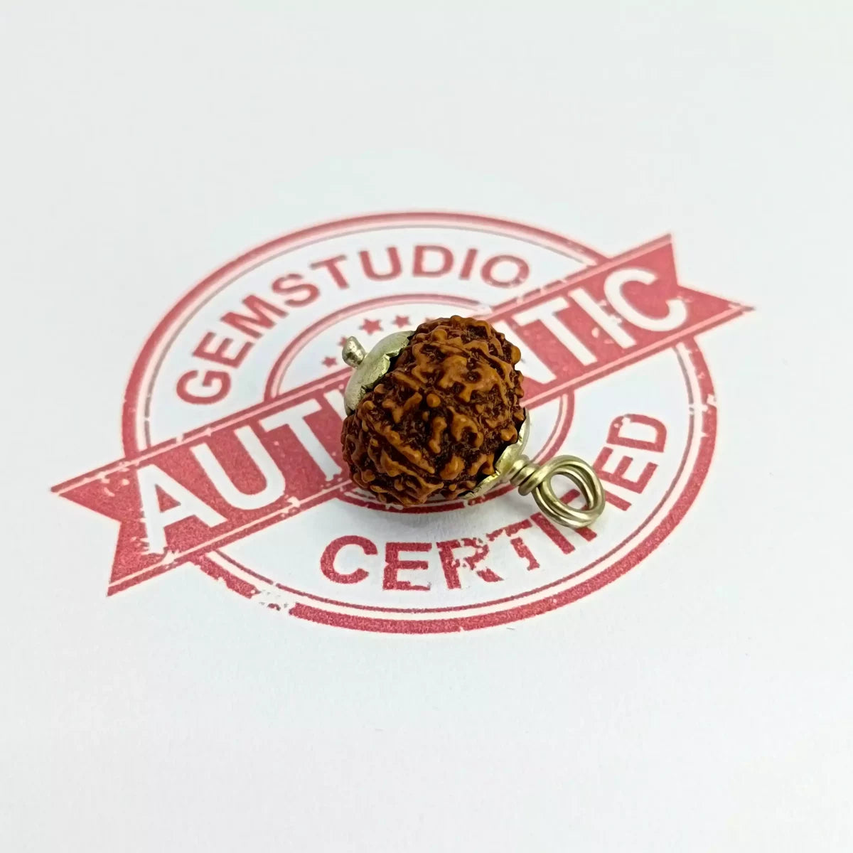 Nine Mukhi Rudraksha Indonesia