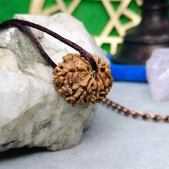 Nine Mukhi Rudraksha Nepal