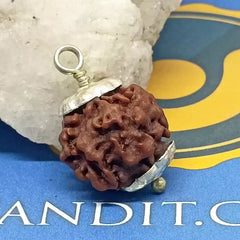 Nirakar Premium Rare Rudraksha