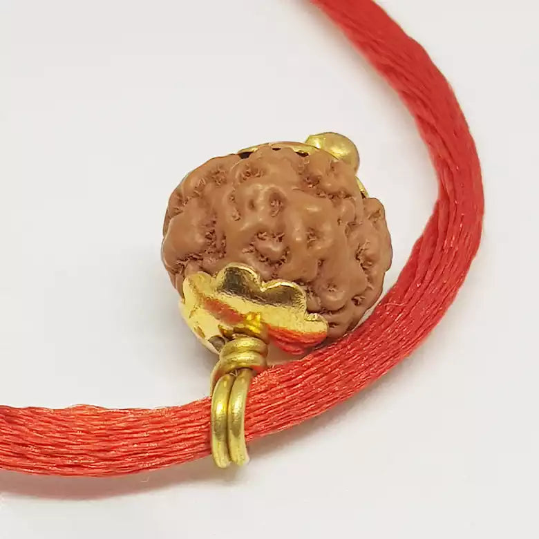 Nirakar Rudraksha Indonesia