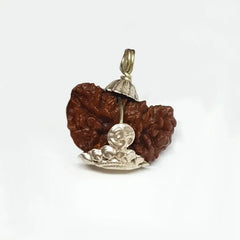 One Faced Rudraksha India