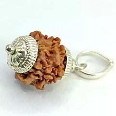 One Mukhi Premium Rare Rudraksha