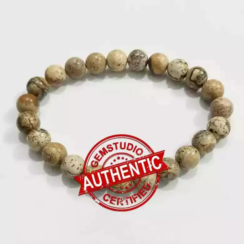 Picture Jasper Bracelet