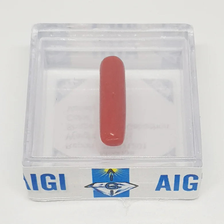 Red Coral Gemstone - 3.15 Carat