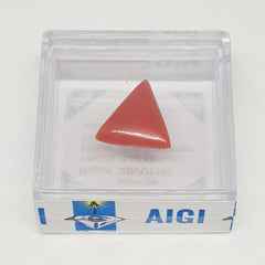 Red Coral Gemstone - 3.15 Carat