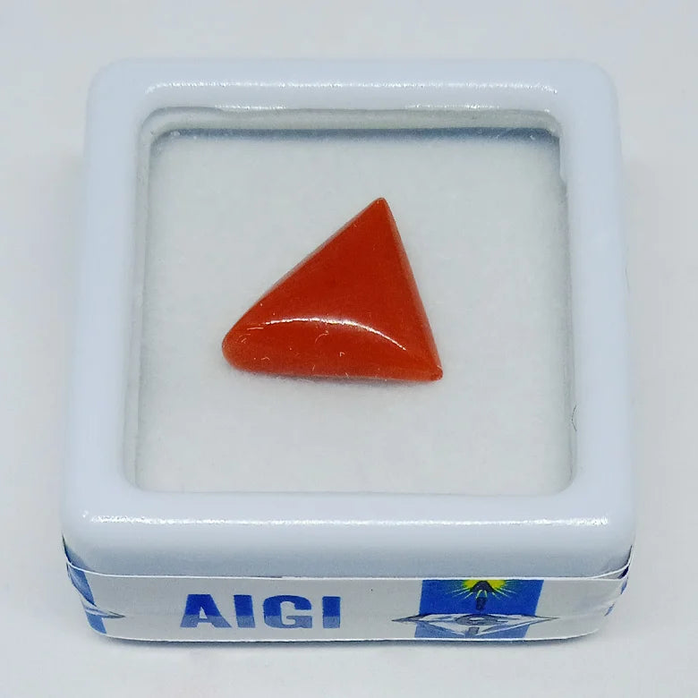 Red Coral Gemstone - 3.15 Carat