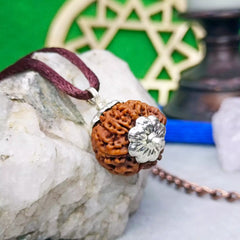 Seven Mukhi Rudraksha Nepal