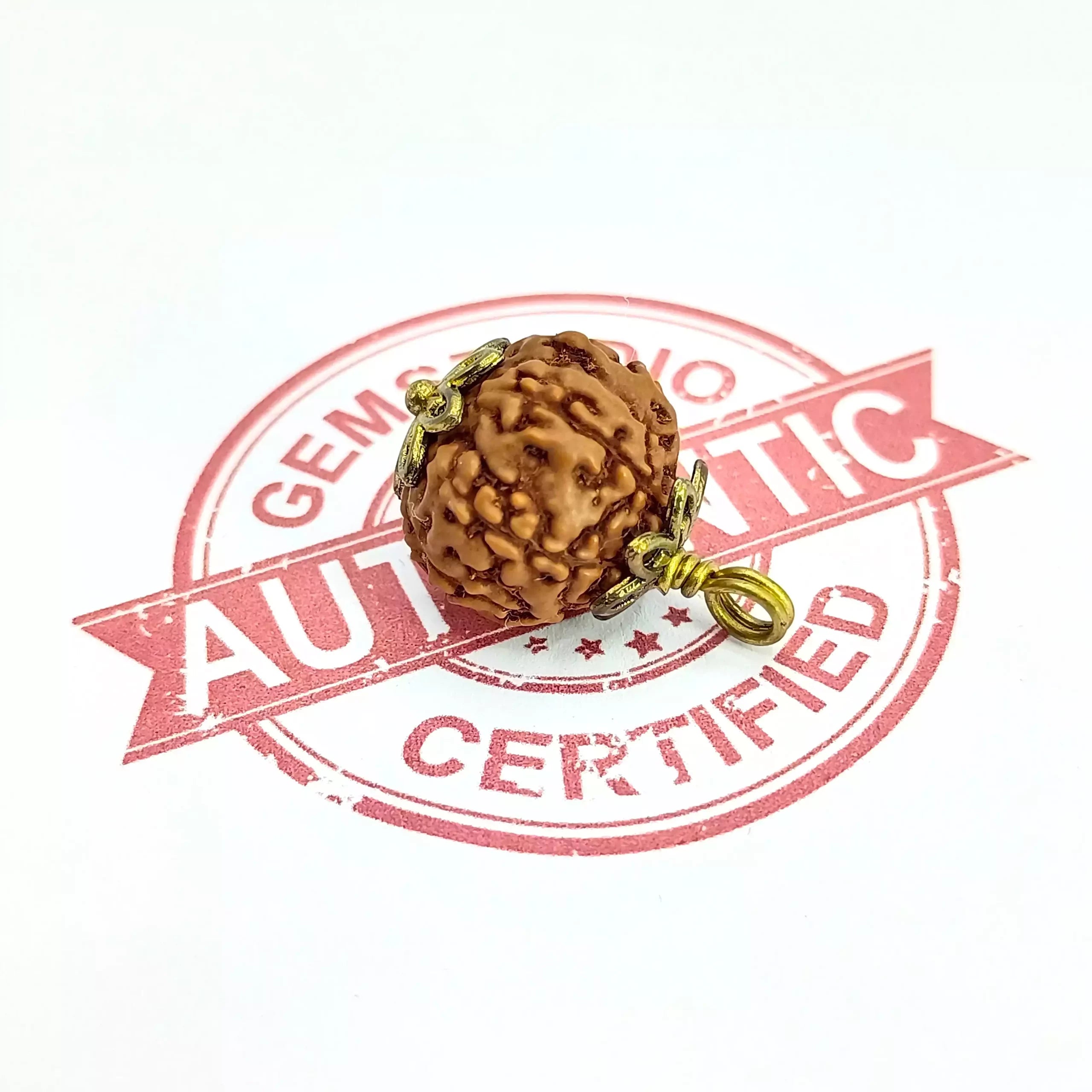Six Mukhi Rudraksha Indonesia