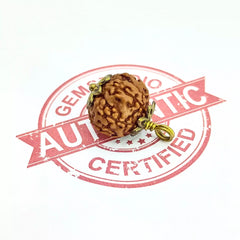 Six Mukhi Rudraksha Indonesia