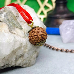 Six Mukhi Rudraksha Indonesia