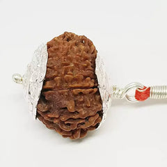 Sixteen Mukhi Nepali Rudraksha