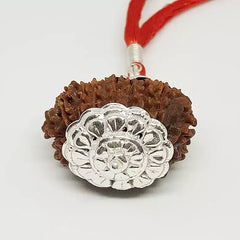 Sixteen Mukhi Nepali Rudraksha