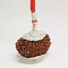 Sixteen Mukhi Nepali Rudraksha