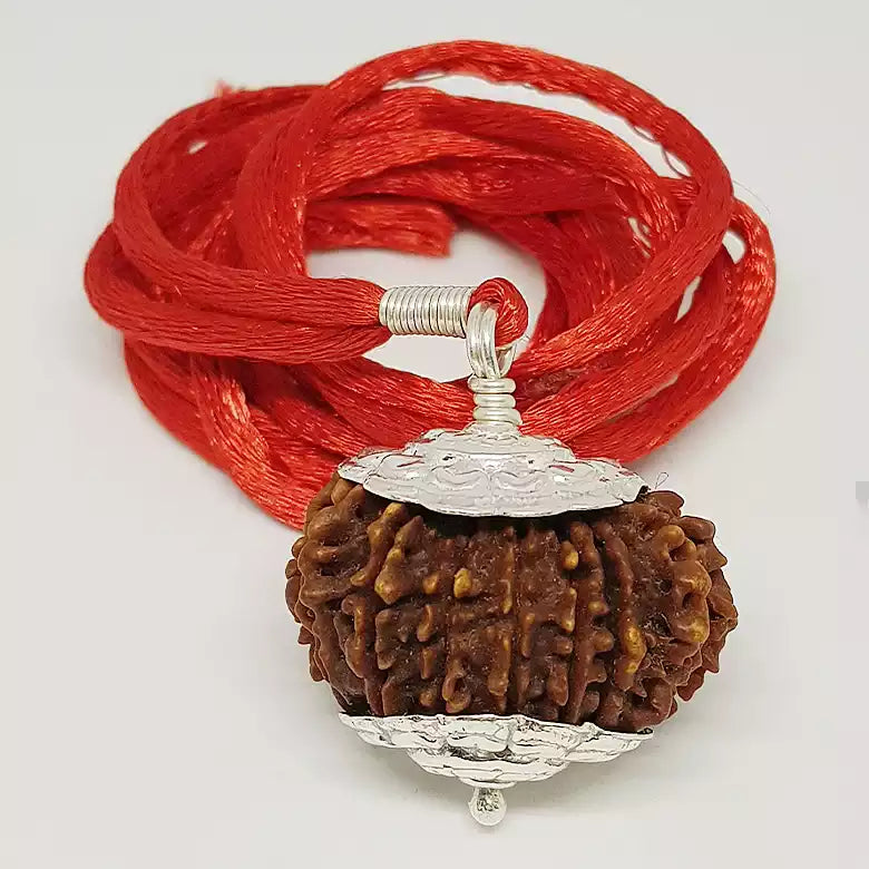 Sixteen Mukhi Nepali Rudraksha