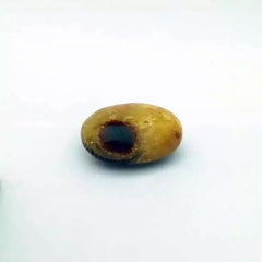 Spotted Jasper Healing Crystal Palm Stone