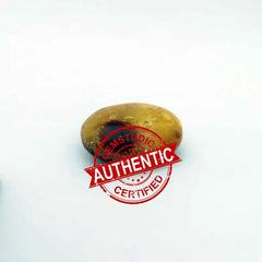 Spotted Jasper Healing Crystal Palm Stone