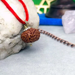 Ten Mukhi Rudraksha Indonesia