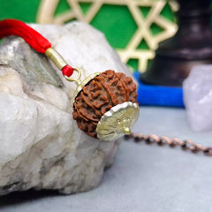 Ten Mukhi Rudraksha Nepal
