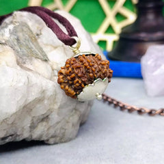 Thirteen Mukhi Premium Rare Rudraksh