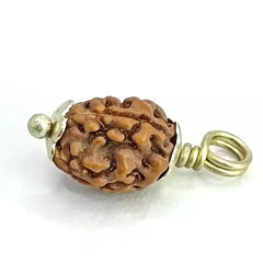 Three Mukhi Rudraksha Indonesia