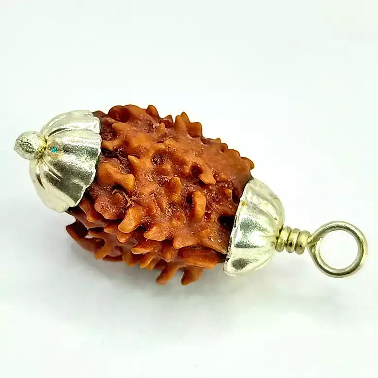 Three Mukhi Rudraksha Nepal