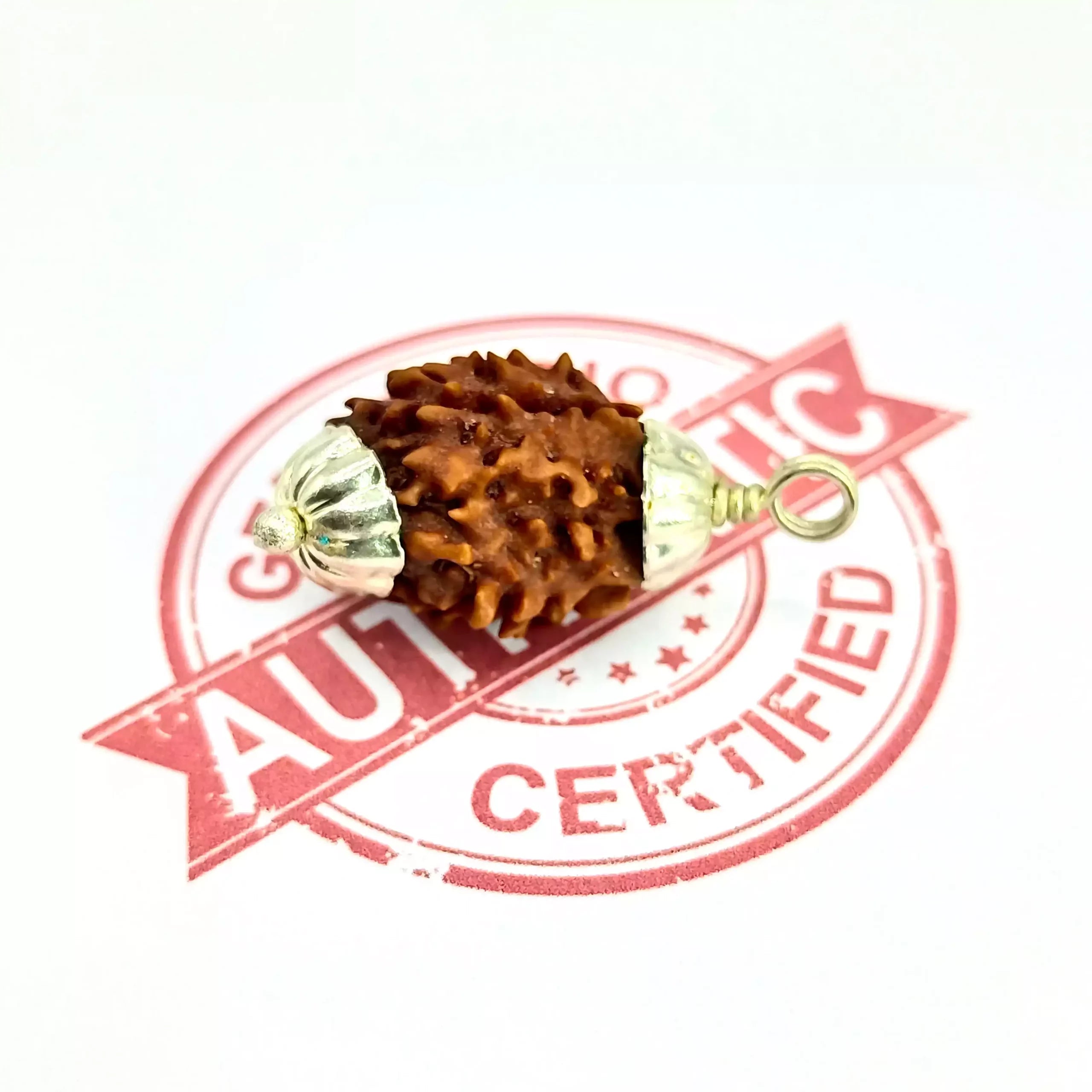 Three Mukhi Rudraksha Nepal