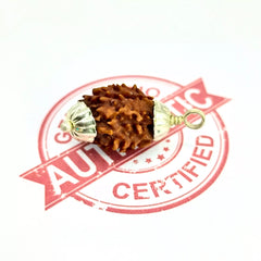Three Mukhi Rudraksha Nepal